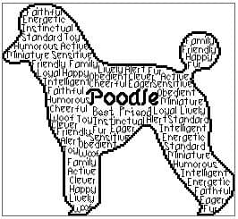 Poodle In Words