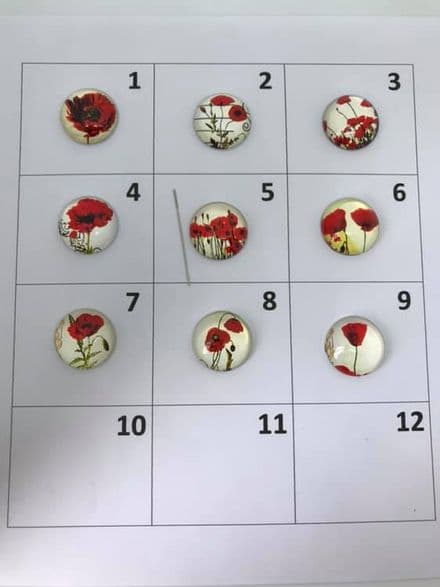 Poppies Needle Minder