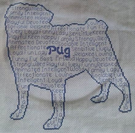 Pug In Words