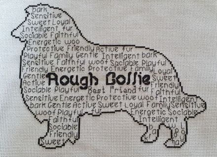 Rough Collie In Words