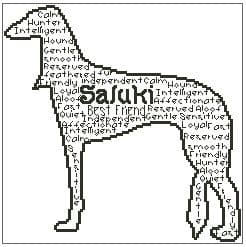 Saluki In Words