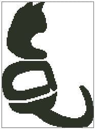 Say What You See - Cat