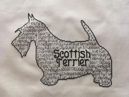 Scottish Terrier In Words