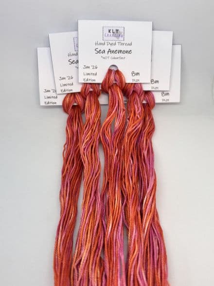 Sea Anemone - January 2026 Limited Edition