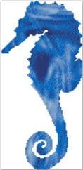 Seahorse Spirit Guide