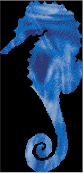 Seahorse Spirit Guide