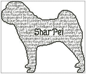 Shar Pei In Words