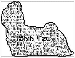 Shih Tzu In Words
