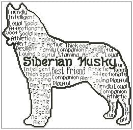 Siberian Husky In Words