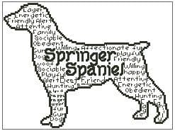 Springer Spaniel In Words