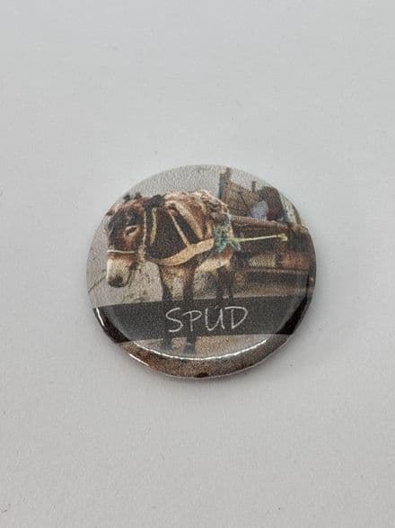Spud Needle Minder