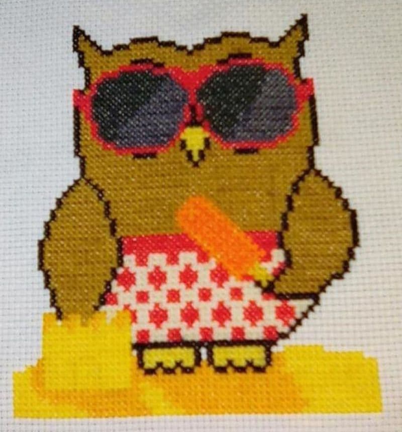 Summer Ollie Owl