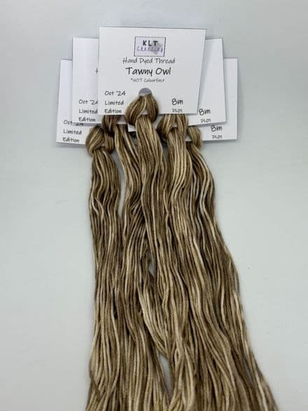 Tawny Owl - October 2024 Limited Edition