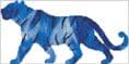 Tiger Spirit Guide