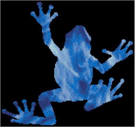 Tree Frog Spirit Guide