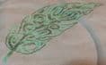 Tribal Feather