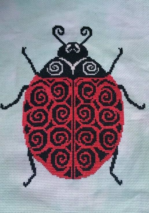 Tribal Ladybird