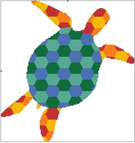 Turtle Hexed