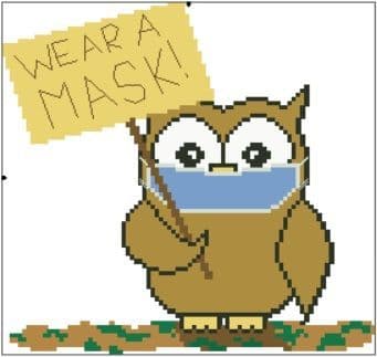 Wear a Mask Ollie Owl