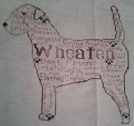 Wheaten Terrier In Words