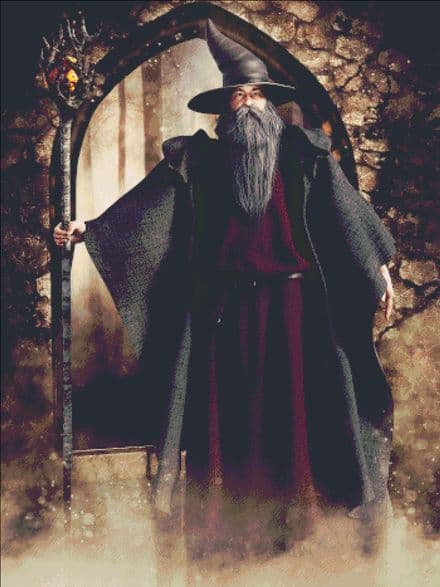Wizard at the Gate
