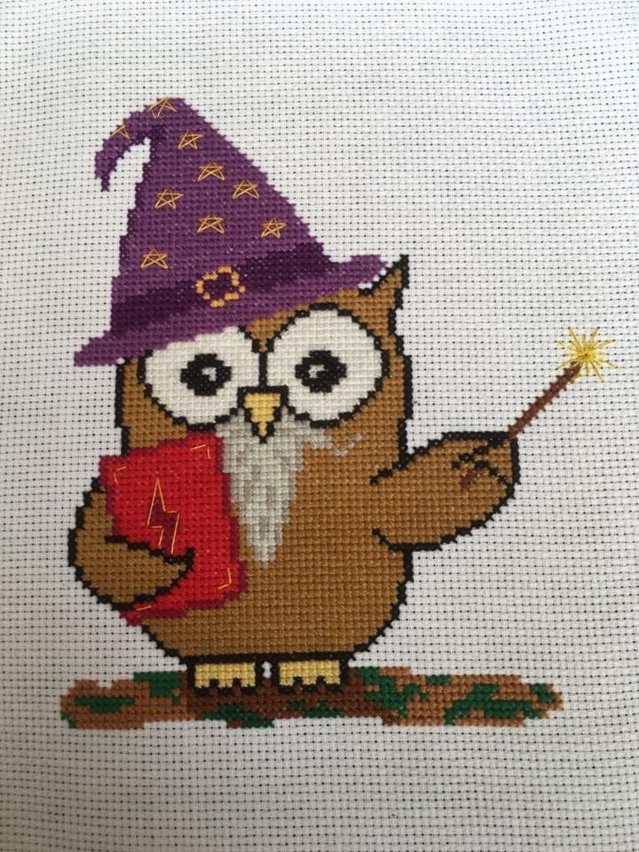Wizard Ollie Owl
