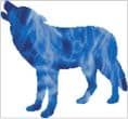 Wolf Spirit Guide