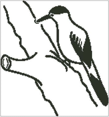 Woodpecker Outline