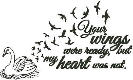 Your Wings Were Ready - Swan with Birds