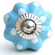 Blue melon with white spots