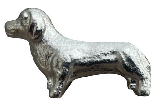 Dachshund dog, Silver