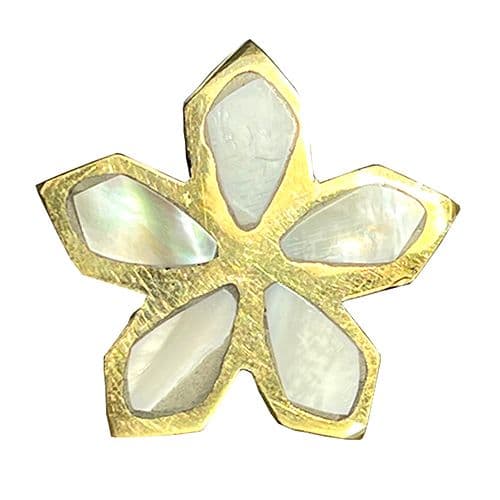 Mother of Pearl Flower