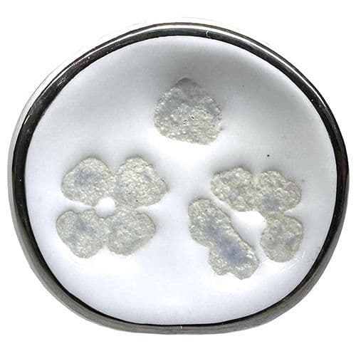 Pretty White Pod with Silver Trim