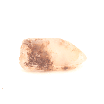 Ancestral Phantom Lemurian 11