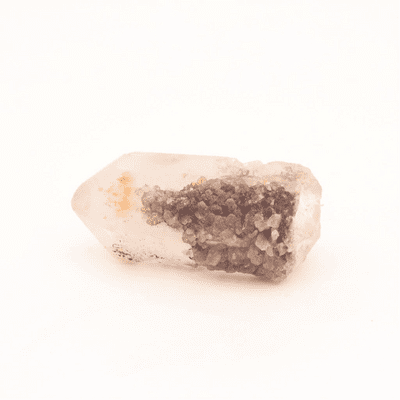 Ancestral Phantom Lemurian 12
