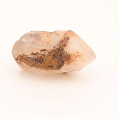 Ancestral Phantom Lemurian 14