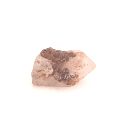 Ancestral Phantom Lemurian 2