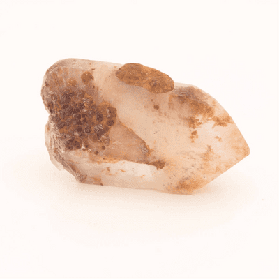 Ancestral Phantom Lemurian 6