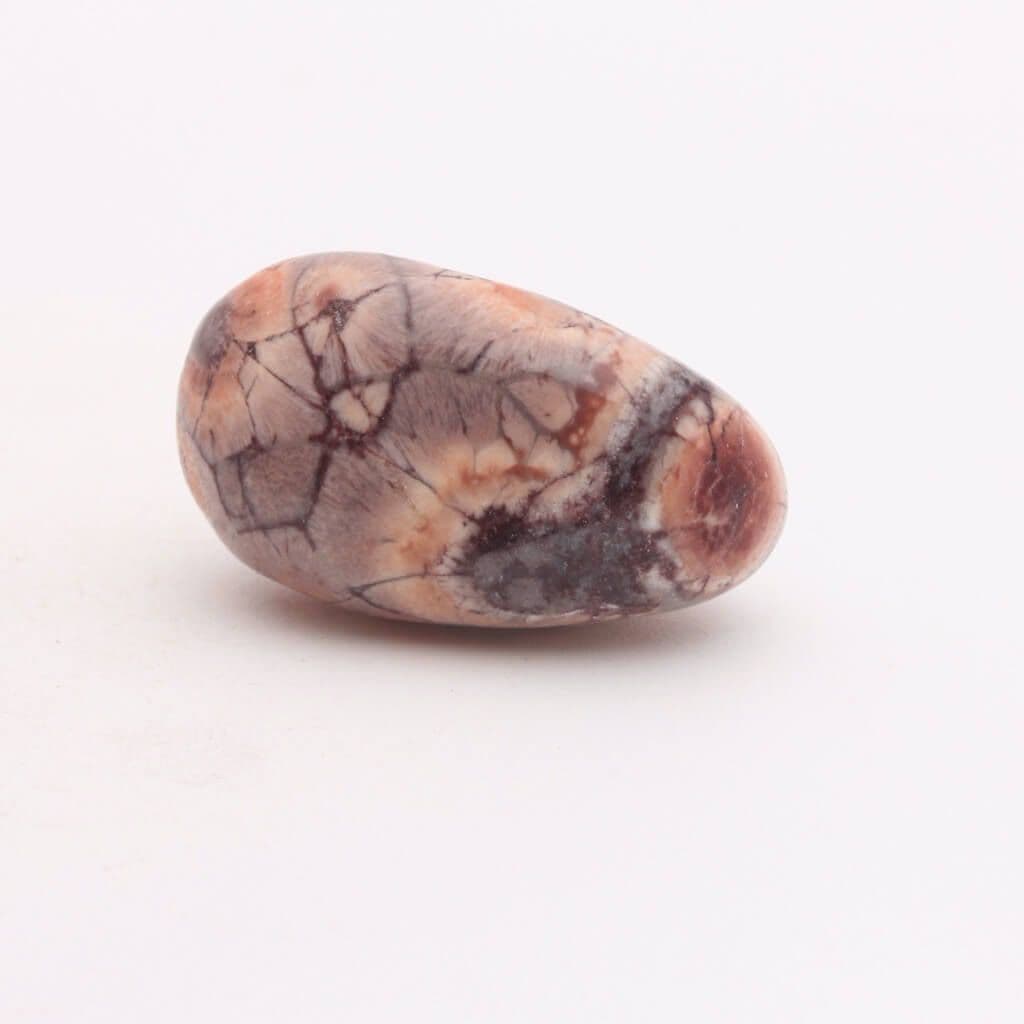 Birds Eye Jasper
