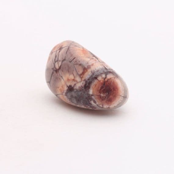 Birds Eye Jasper