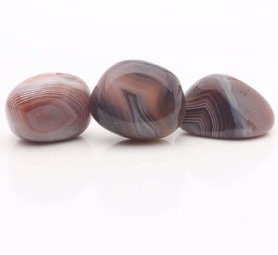 Botswana Agate (Set of 3) 13