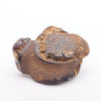 Boulder Opal