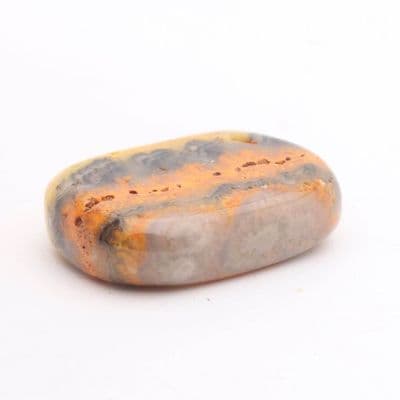 Bumblebee Jasper 11