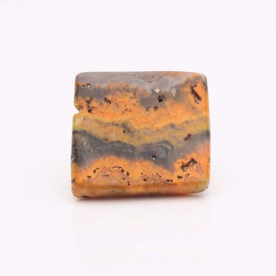 Bumblebee Jasper 14
