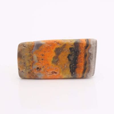 Bumblebee Jasper 17