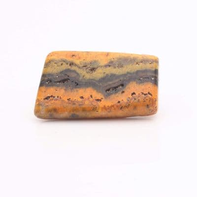 Bumblebee Jasper 18