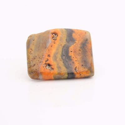 Bumblebee Jasper 19