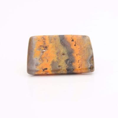Bumblebee Jasper 22