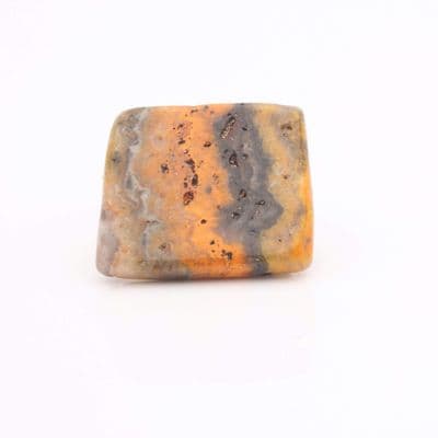 Bumblebee Jasper 23