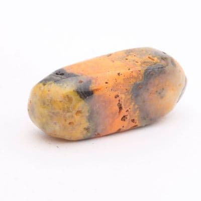 Bumblebee Jasper 24